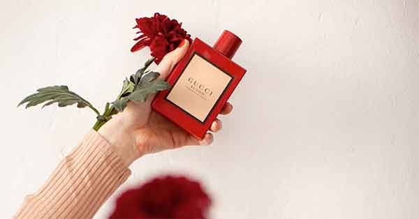 Lịch sử nước hoa Gucci Bloom Ambrosia Di Fiori Intense 100ml